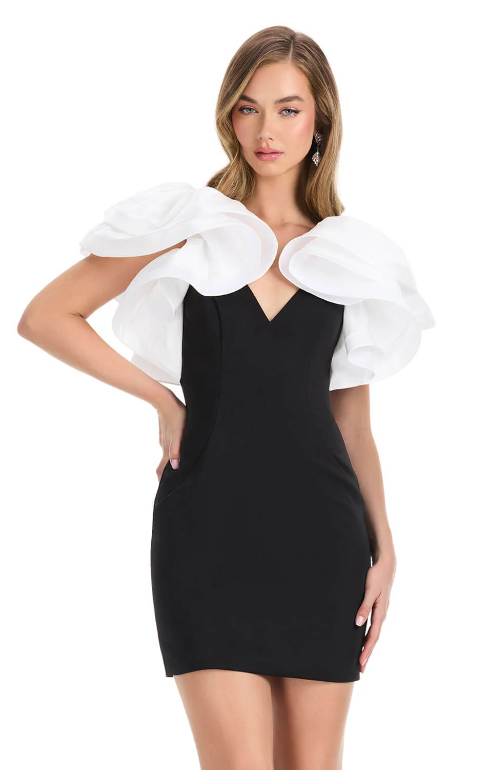 4841 - ASHLEYlauren - Image 5