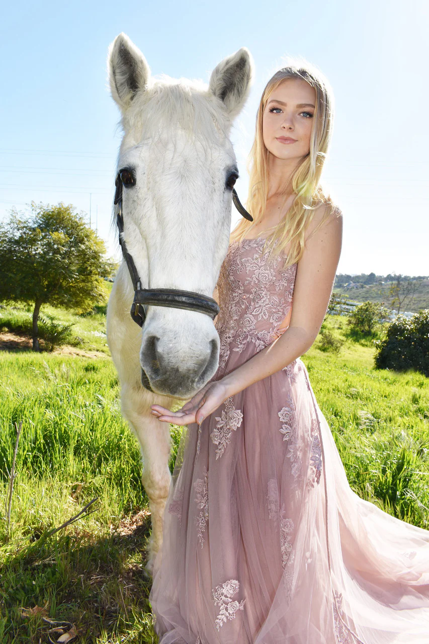 Alisha Gown - Mauve - Tulle A-line Dress With Open Back - Image 3