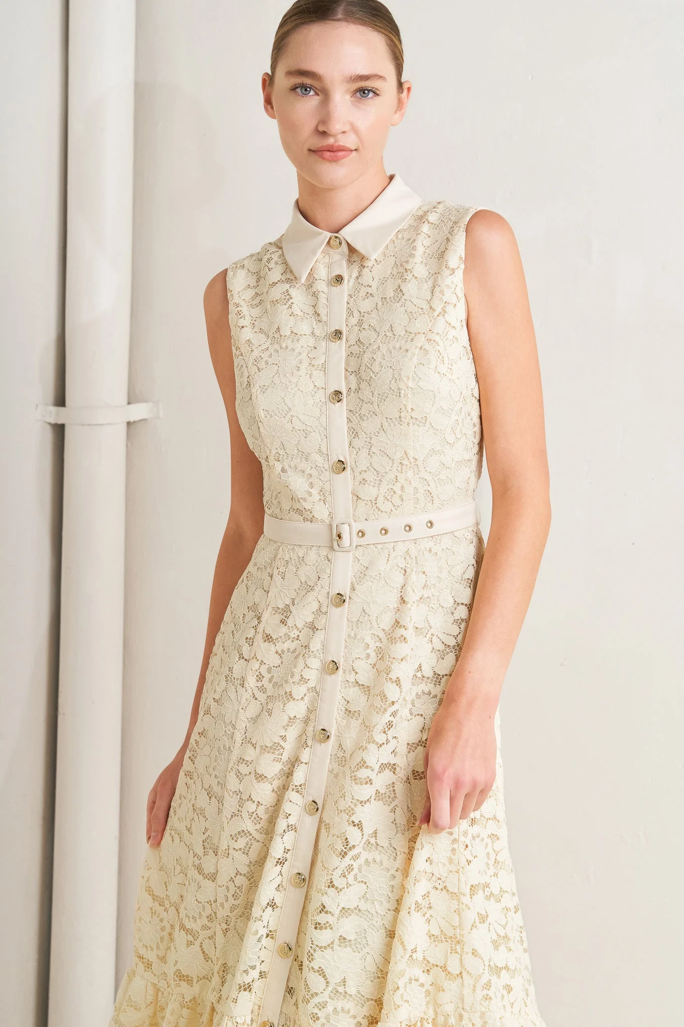 PURELY ROMANTIC LACE MIDI DRESS - Image 5