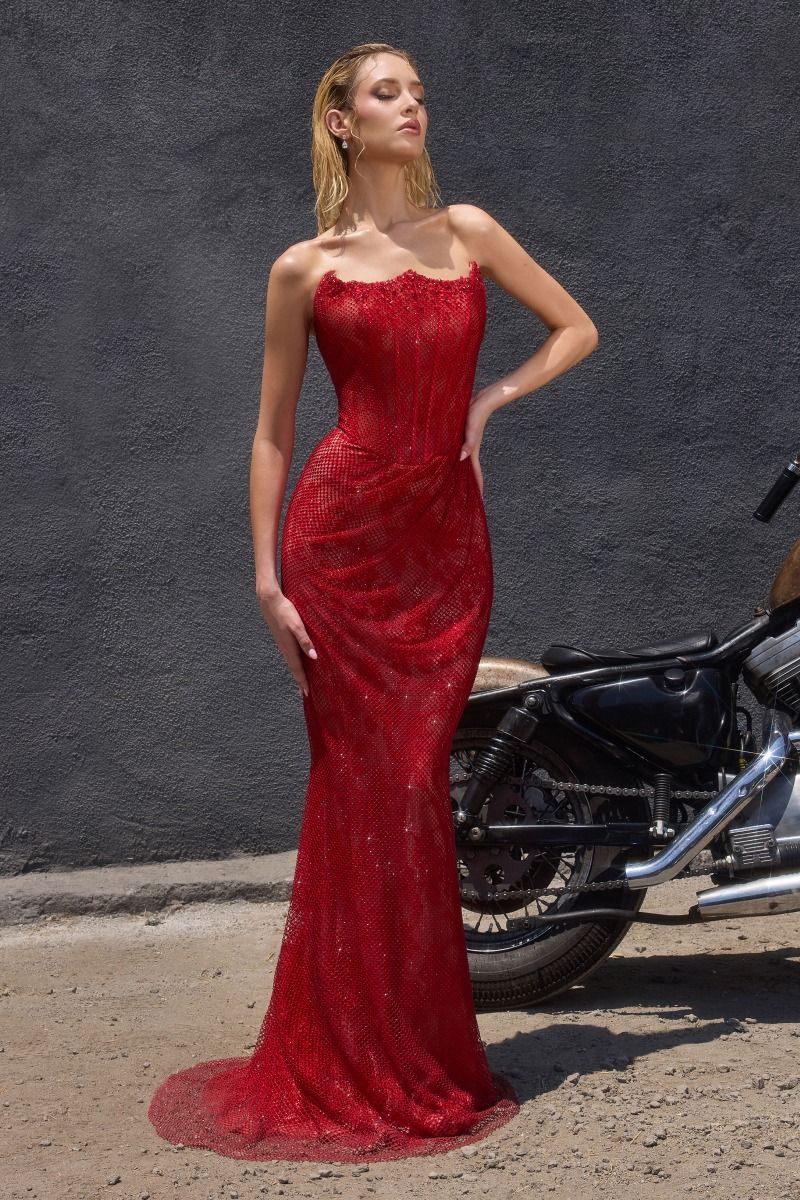 VIXEN GOWN - MESH OVERLAY MERMAID DRESS - Image 2