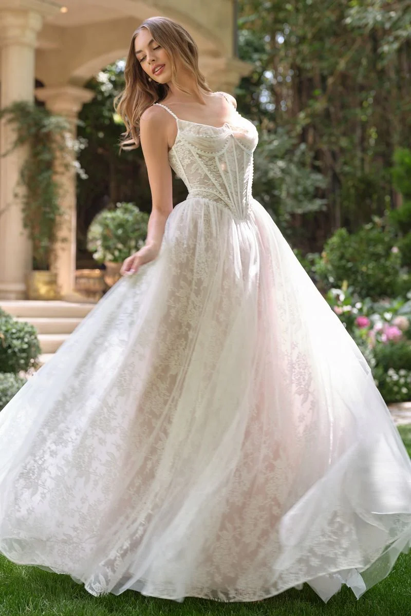 WL069 - Venus Lace Ball Gown - Andrea & Leo - Image 2