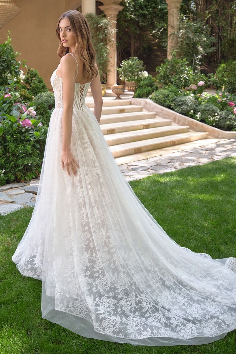 WL069 - Venus Lace Ball Gown - Andrea & Leo - Image 3