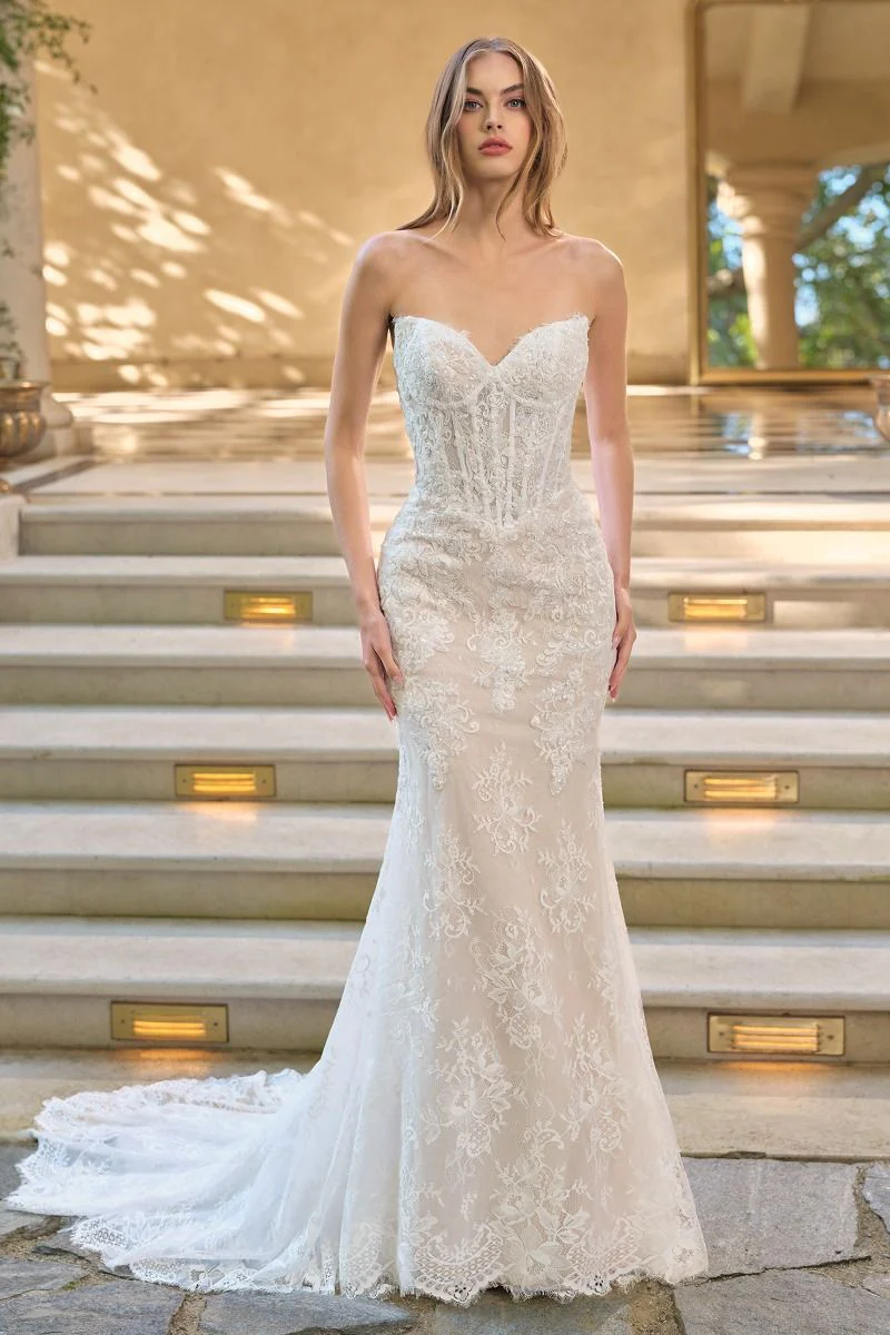 WL071 - Athena Lace Mermaid Gown With Bolero - Andrea & Leo - Image 2