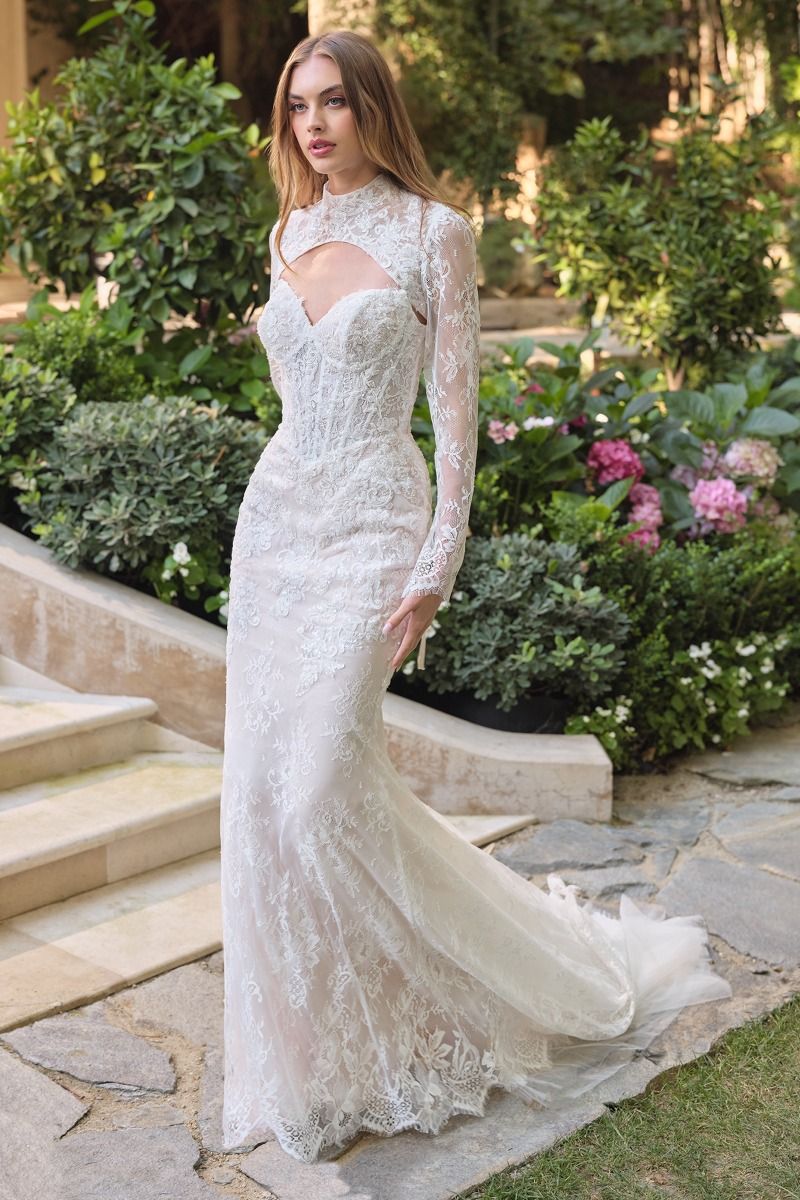 WL071 - Athena Lace Mermaid Gown With Bolero - Andrea & Leo - Image 5